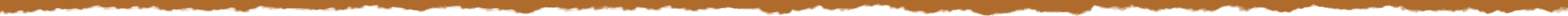 fondo divisor cafe 2