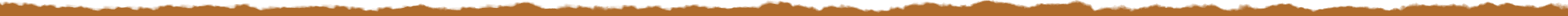 fondo divisor cafe